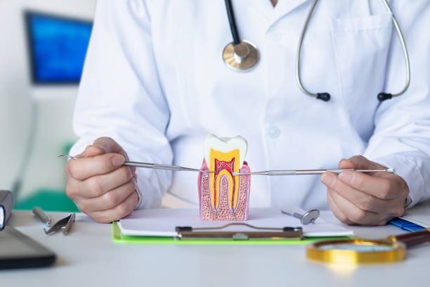 Best Emergency Dentist for Knocked-Out Tooth in Oriole Beach, FL